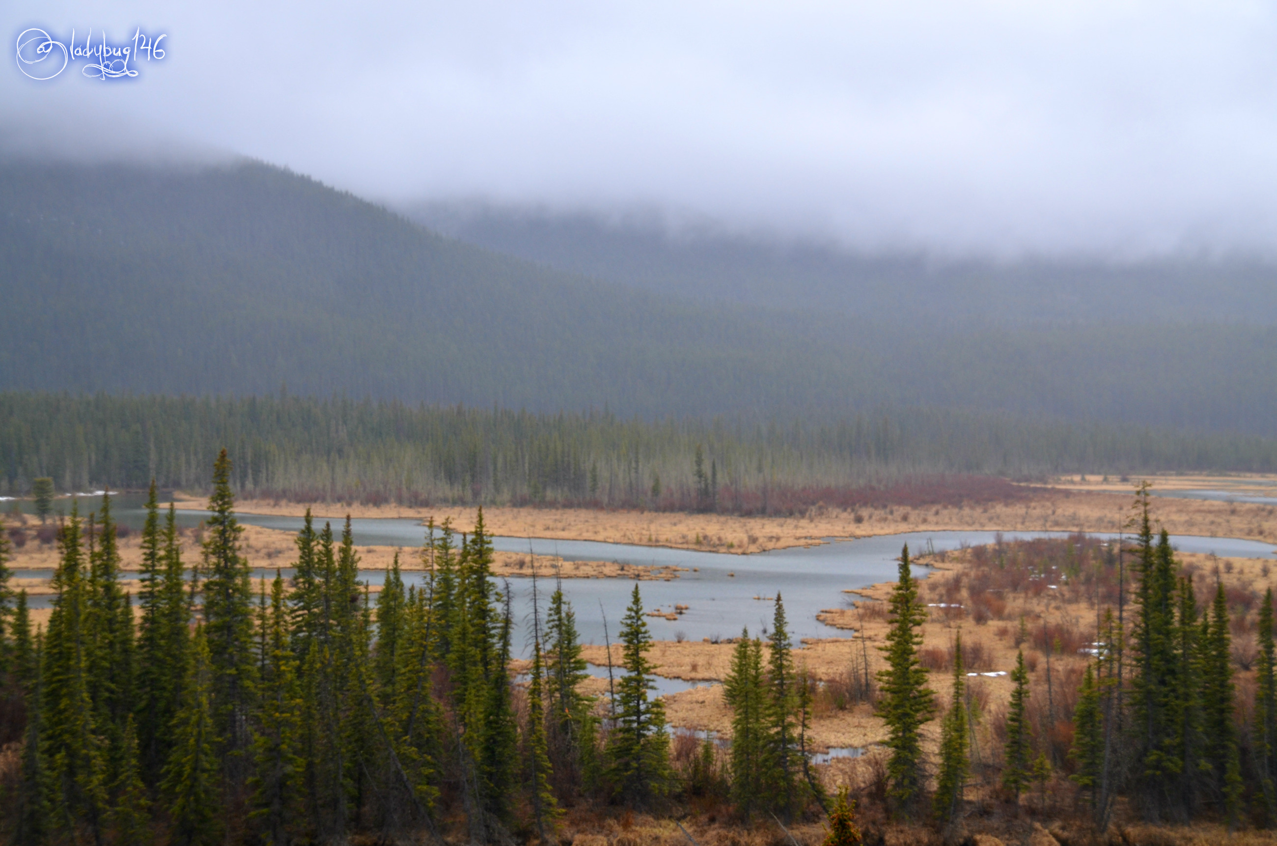 bow valley parkway2.jpg