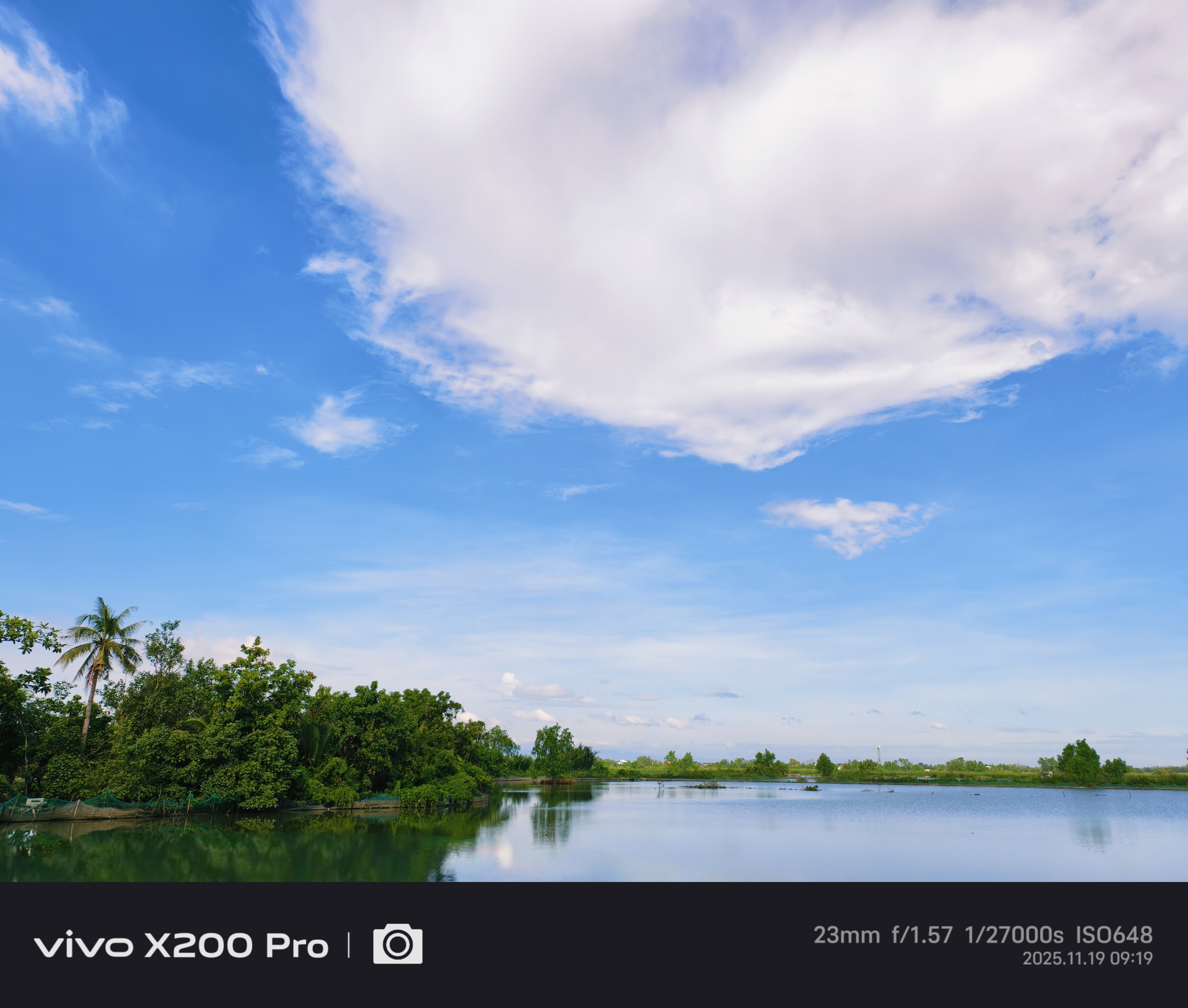 IMG_20251119_092947.jpg