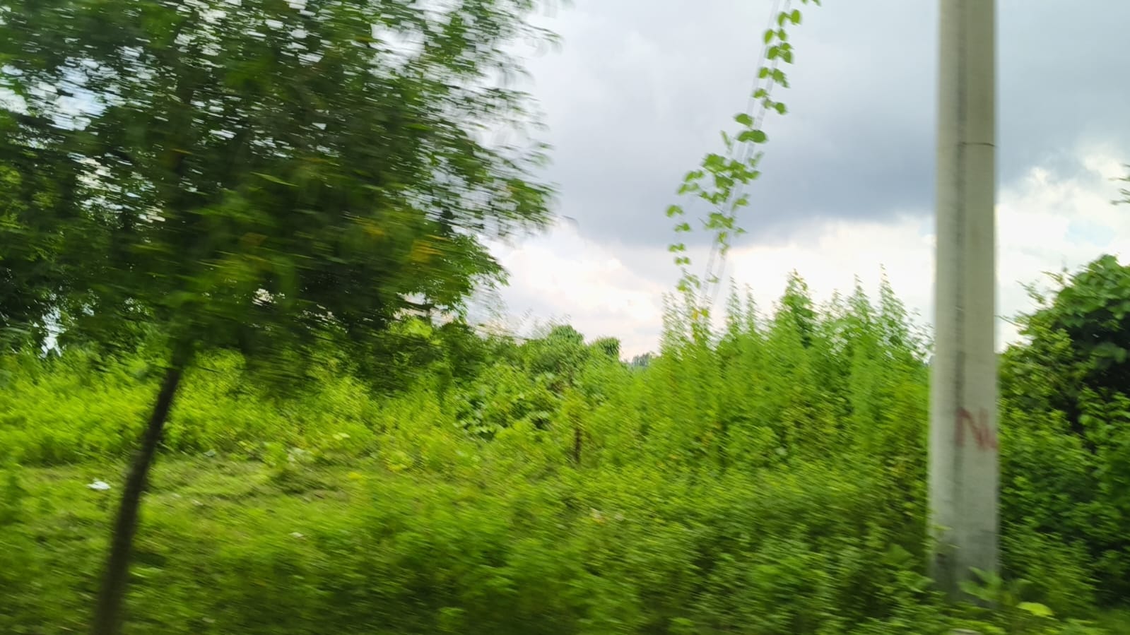 1000380297.jpg