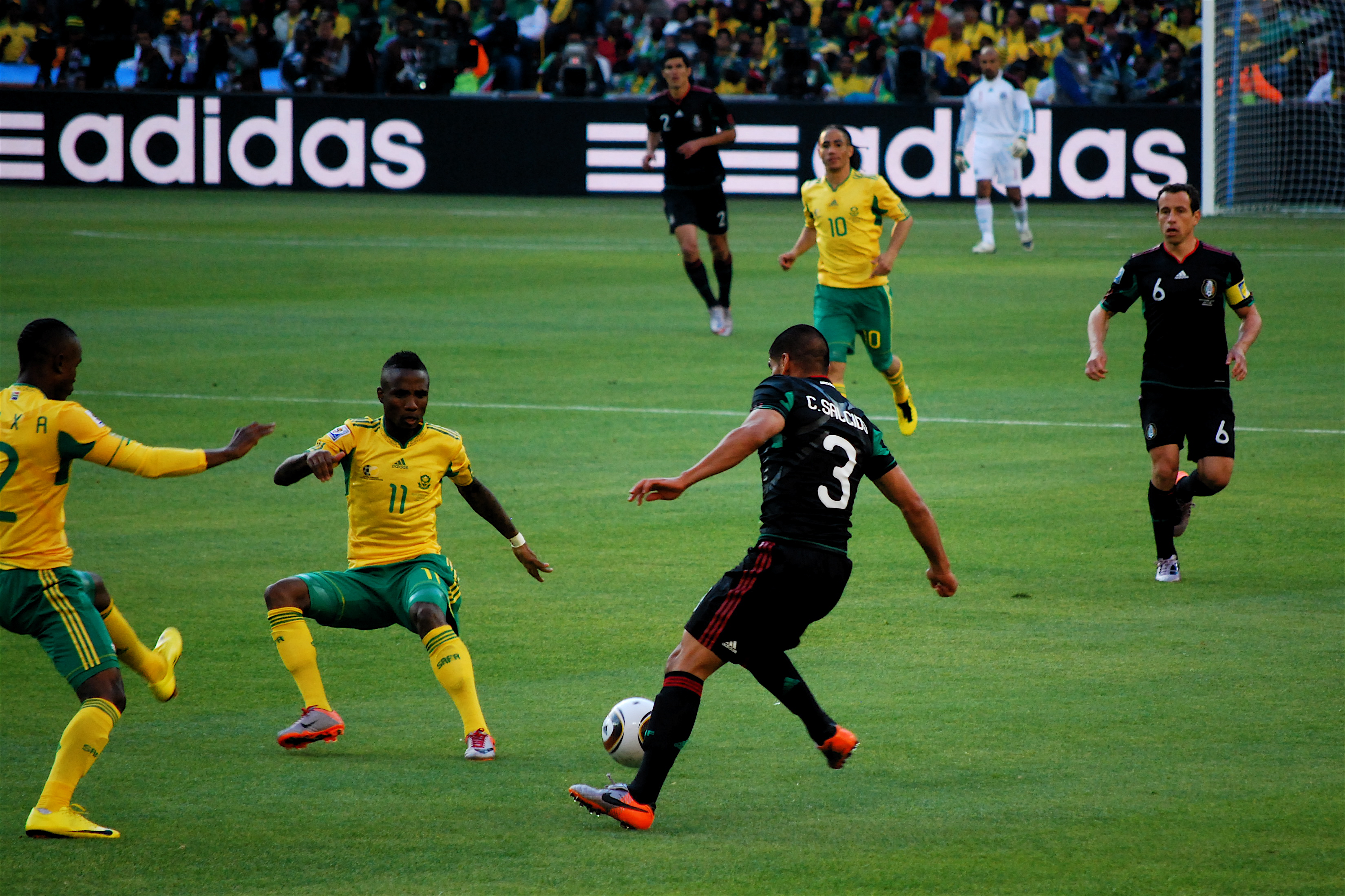 First_game_of_the_2010_FIFA_World_Cup,_South_Africa_vs_Mexico4.jpg