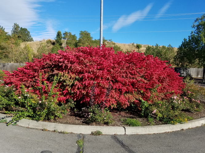 20180928_155321_12.jpg