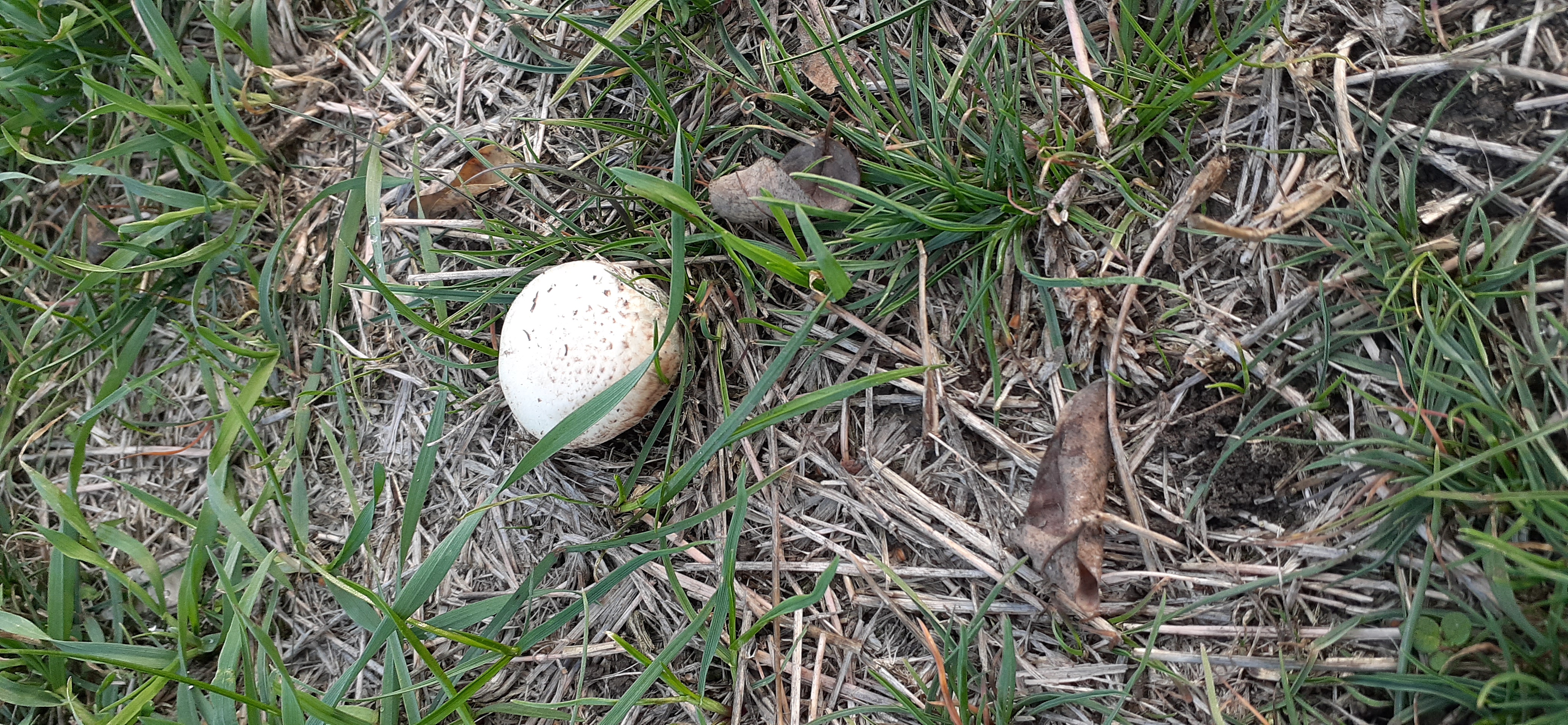 20201112_142514.jpg
