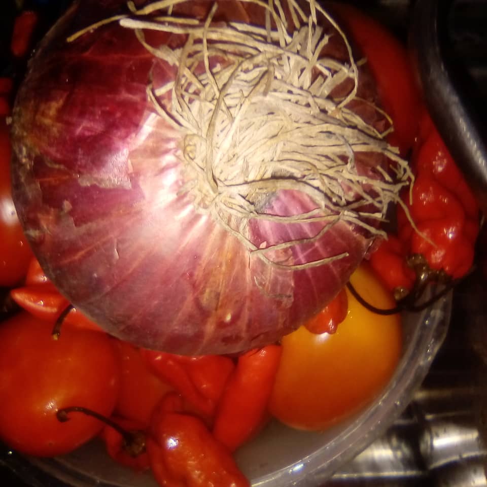 IMG-20210419-WA0034.jpg