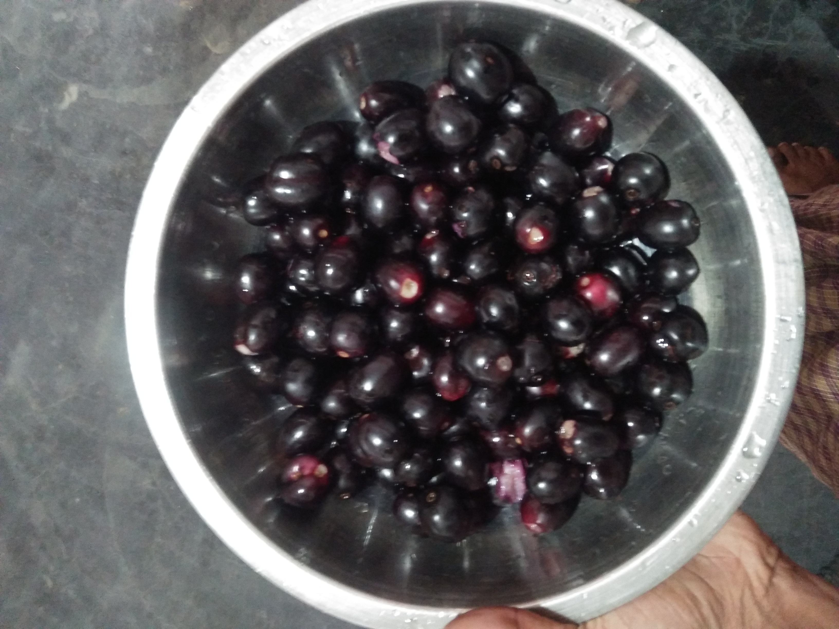 IMG20210614125240.jpg