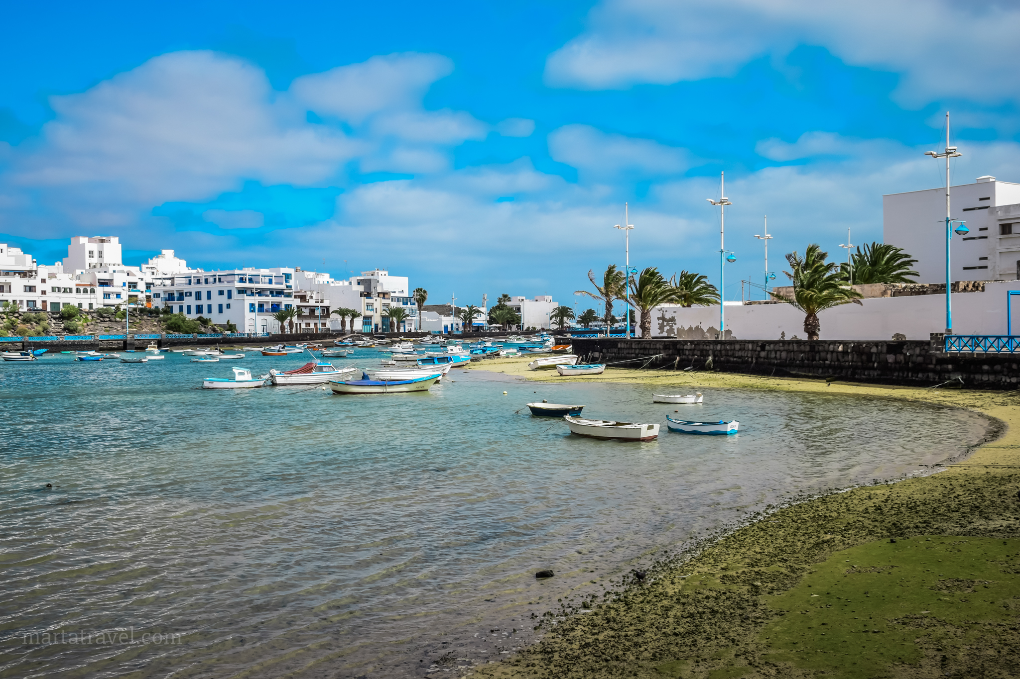 DSC_0227-2.jpg