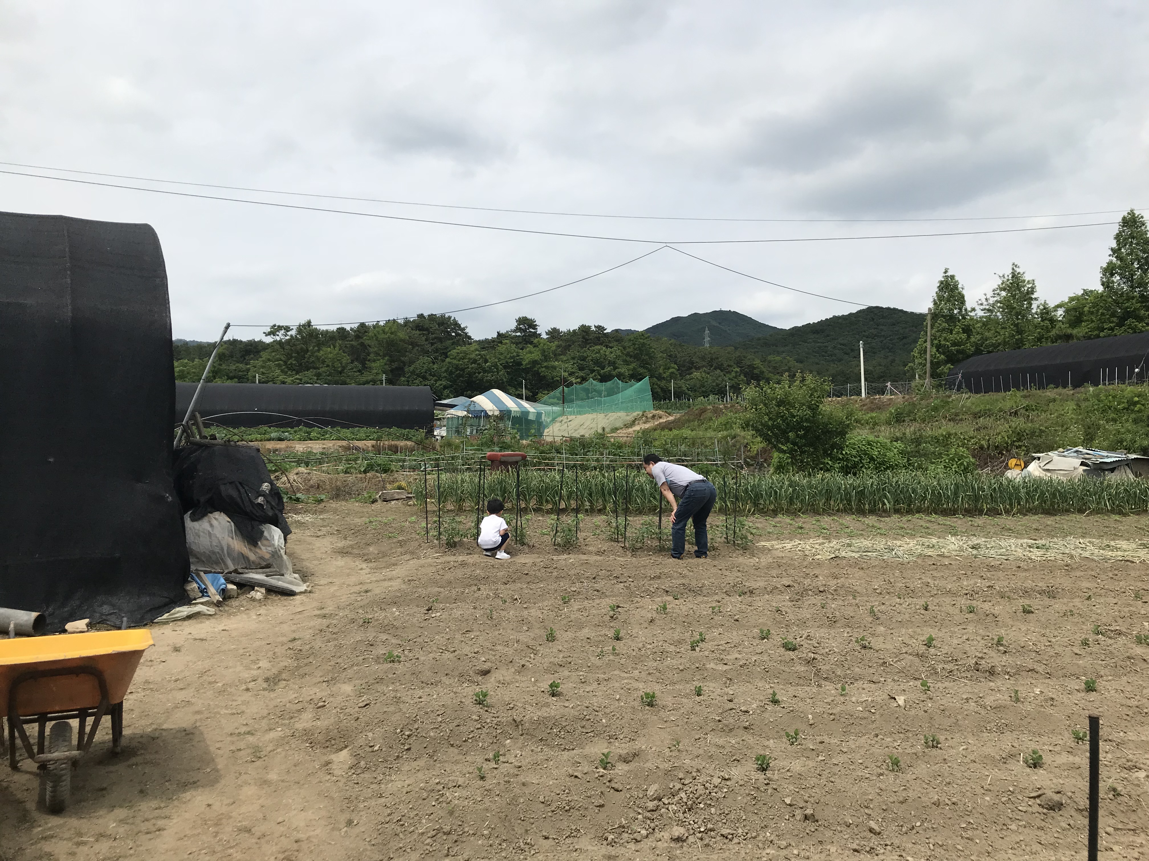 329C2B8F-9442-4F55-A077-96AB2FCE628E.jpeg