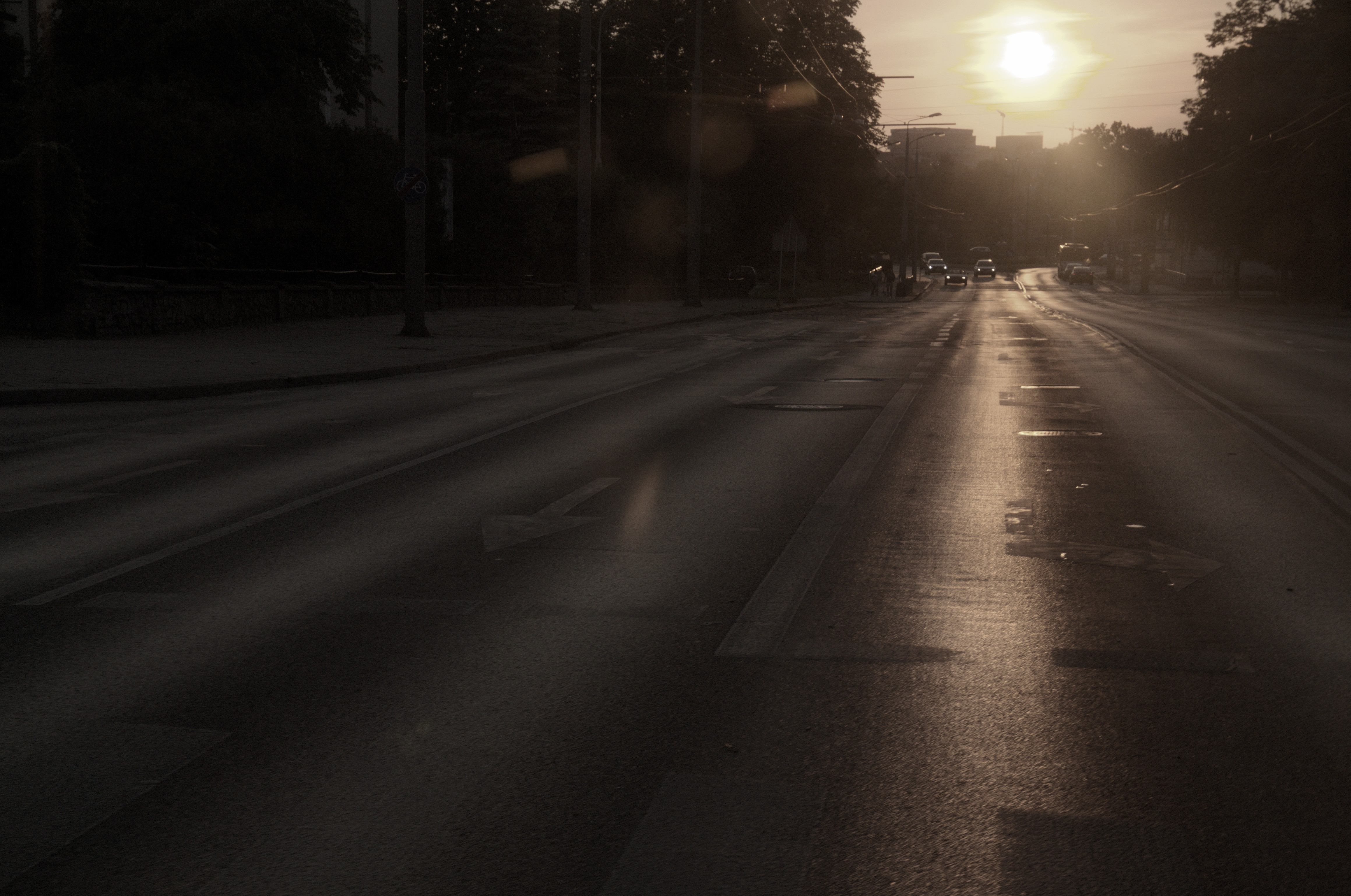 DSC_1278-1.jpg