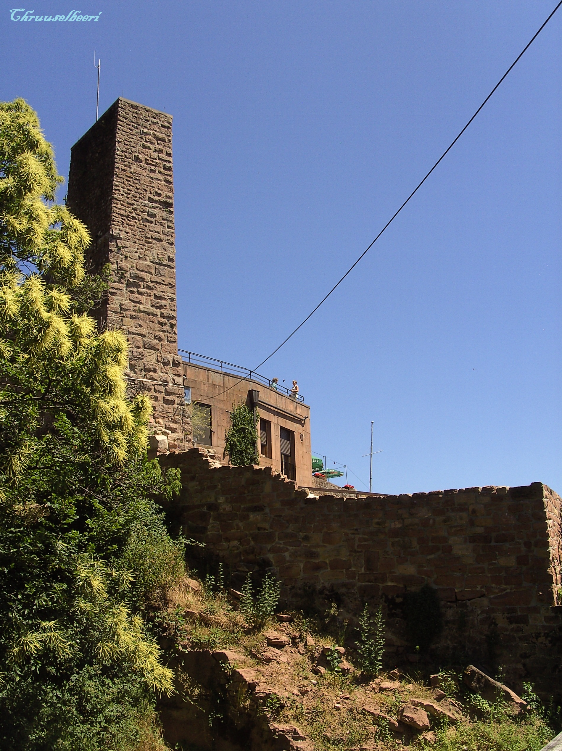 Rietburg_07.jpg