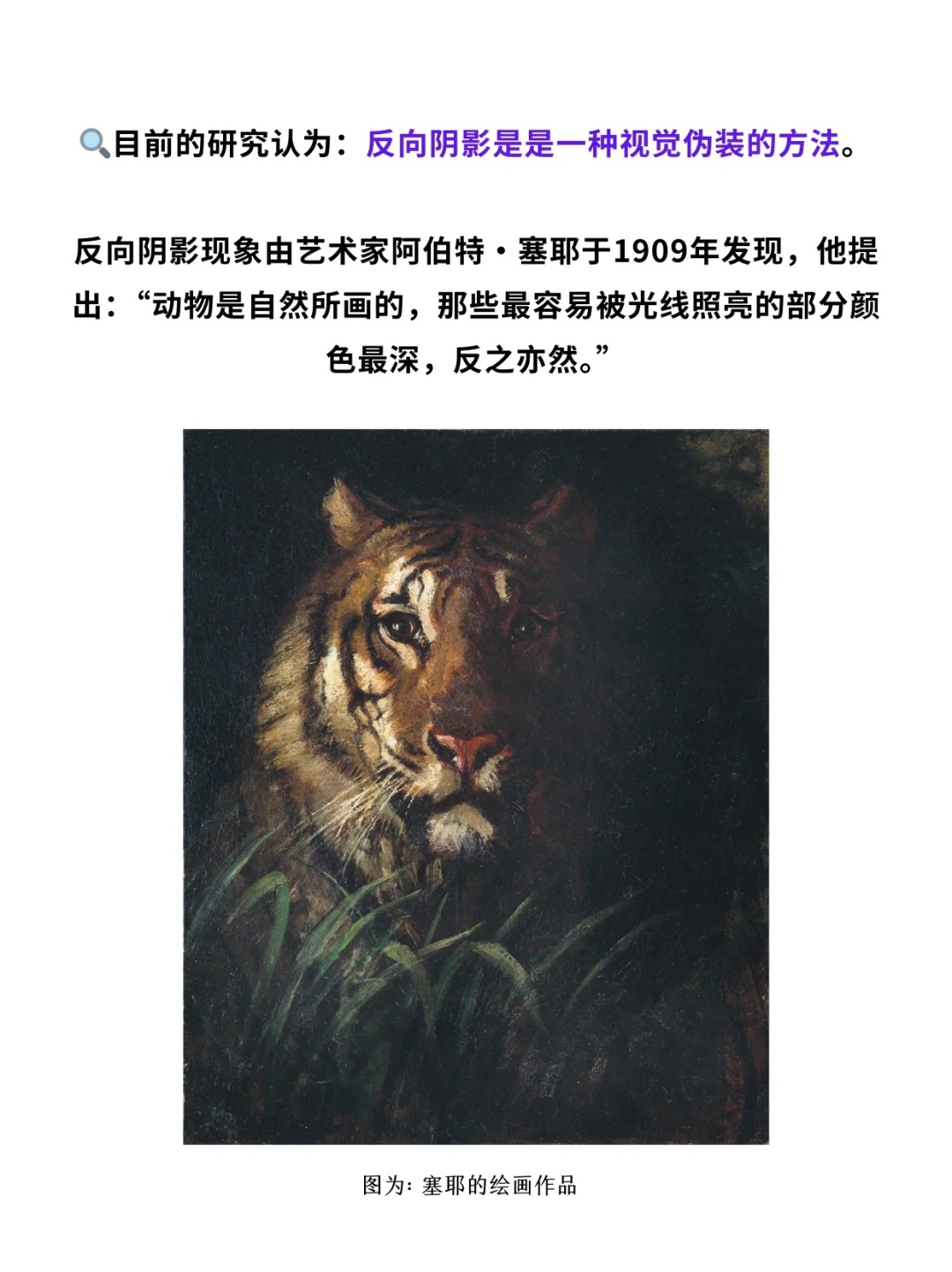 科普一分钟_ 动物长这样究竟是谁“规定”的❓_3.jpg