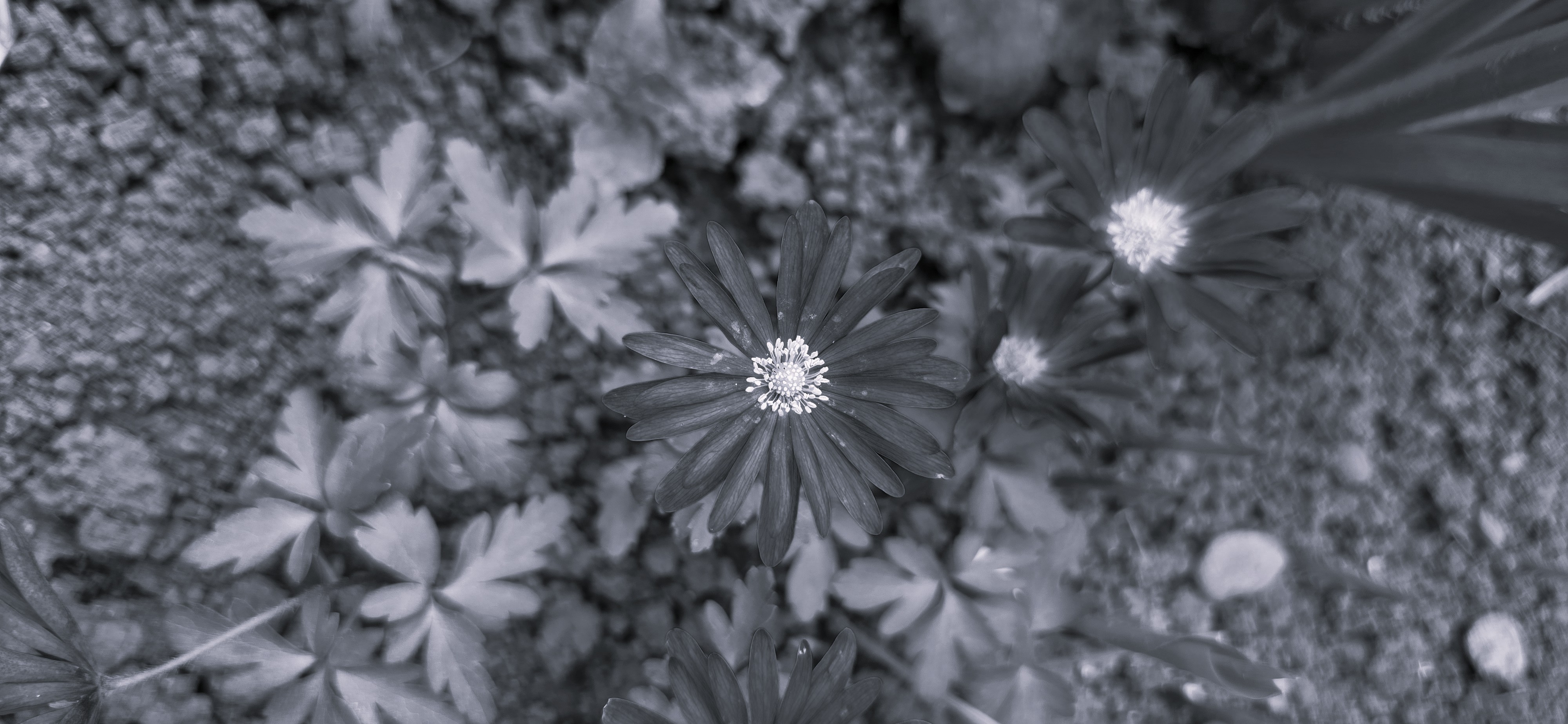 20260413_164149.jpg