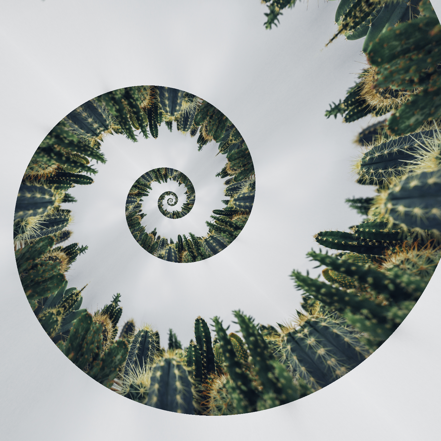 image3A16957_mirror5.png