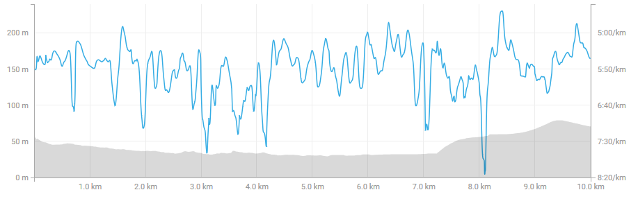 screenshot-www.strava.com-2018-06-17-15-09-59.png