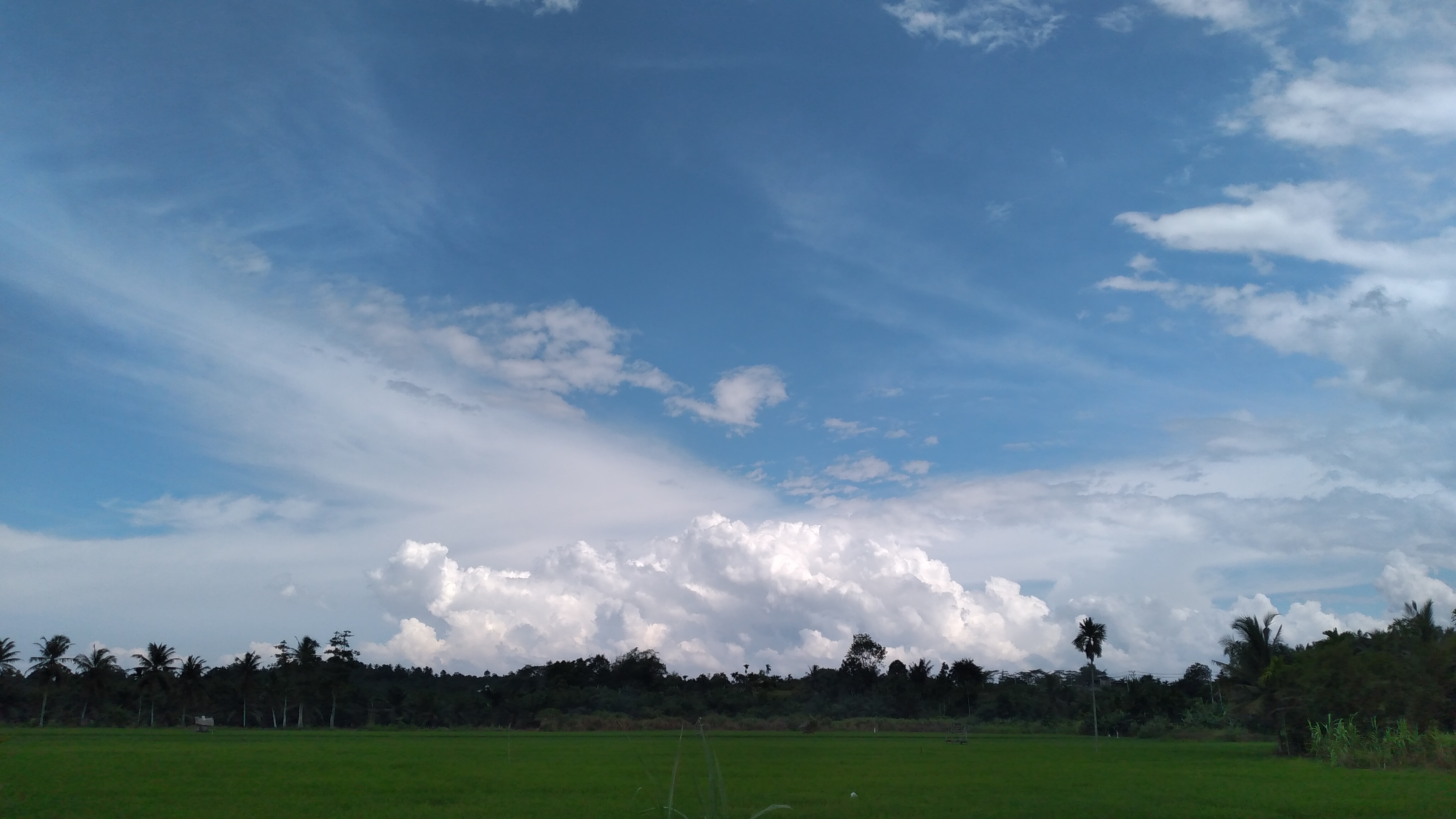 20220926_141653.jpg