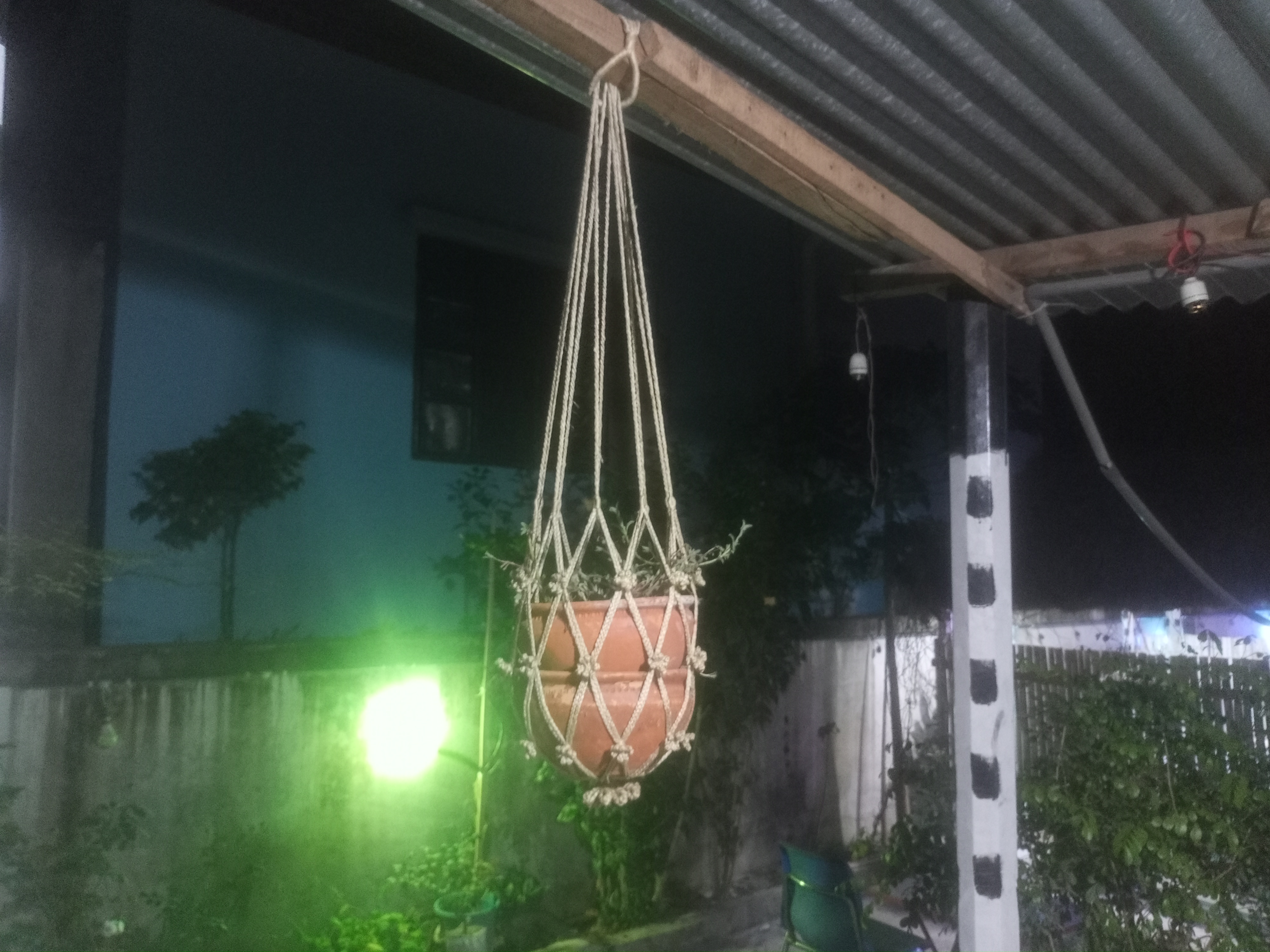 IMG20250331185252.jpg