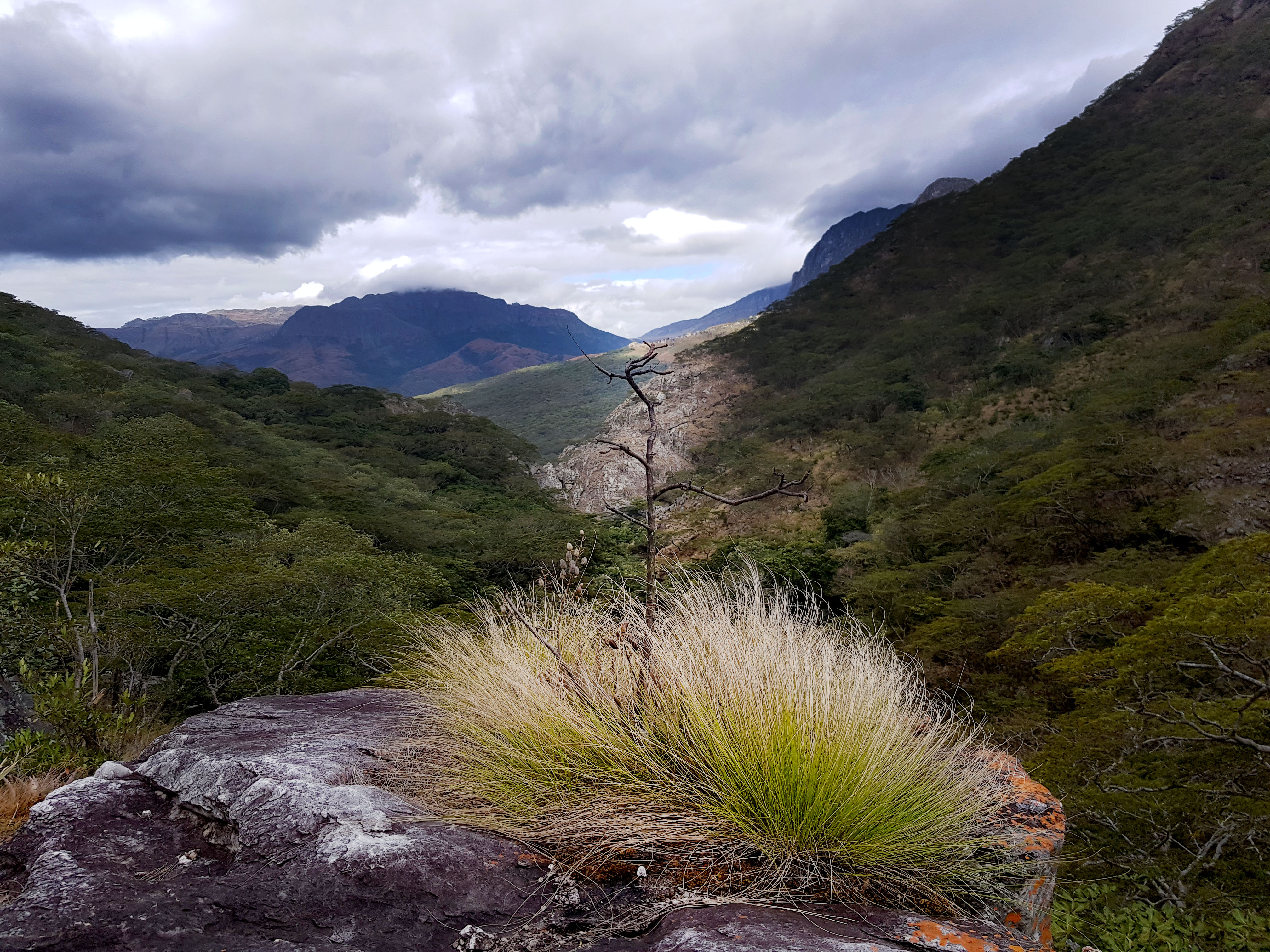 20180720_142102_chimanimani.jpg