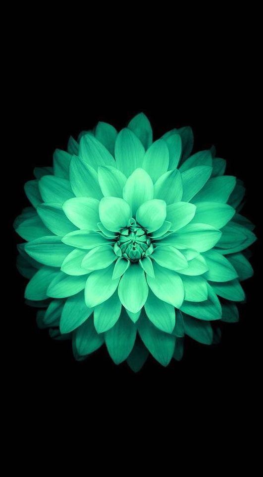 flower of thinking.jpg