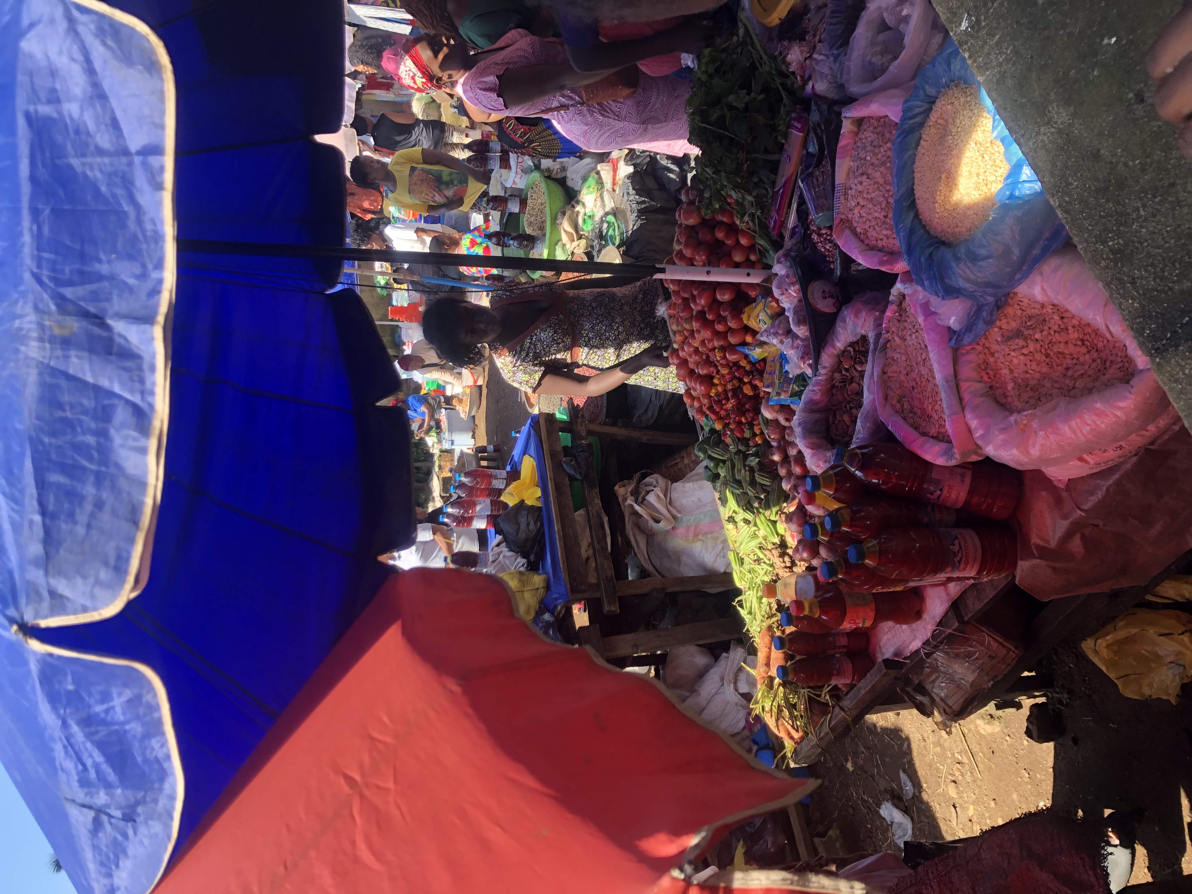 IMG_9575.jpeg