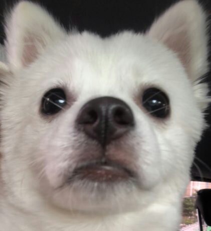 KakaoTalk_20180911_185657614.jpg