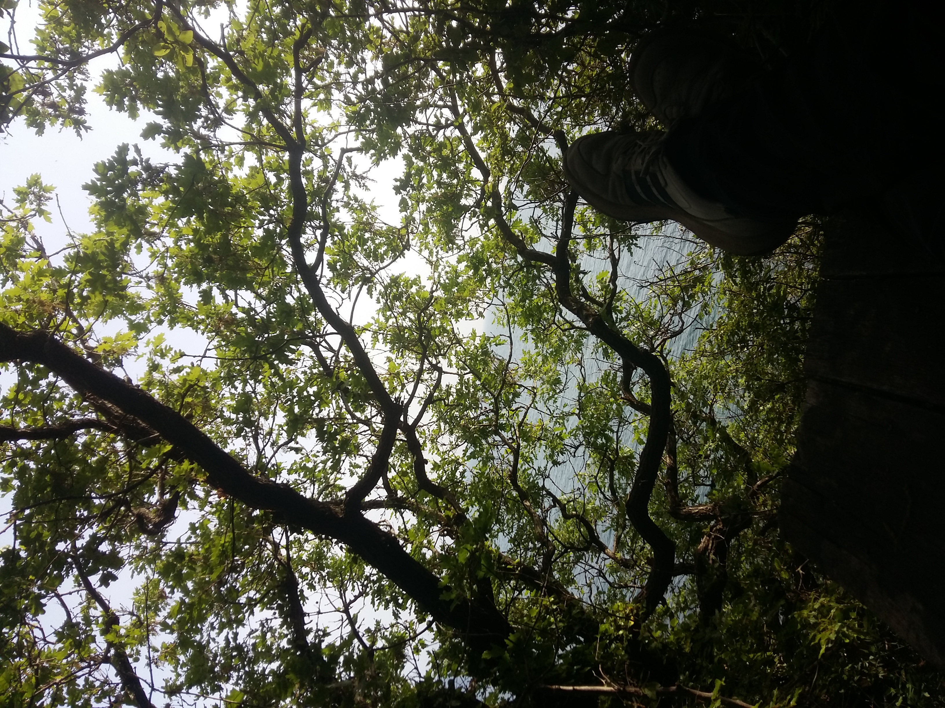 20180504_162248.jpg