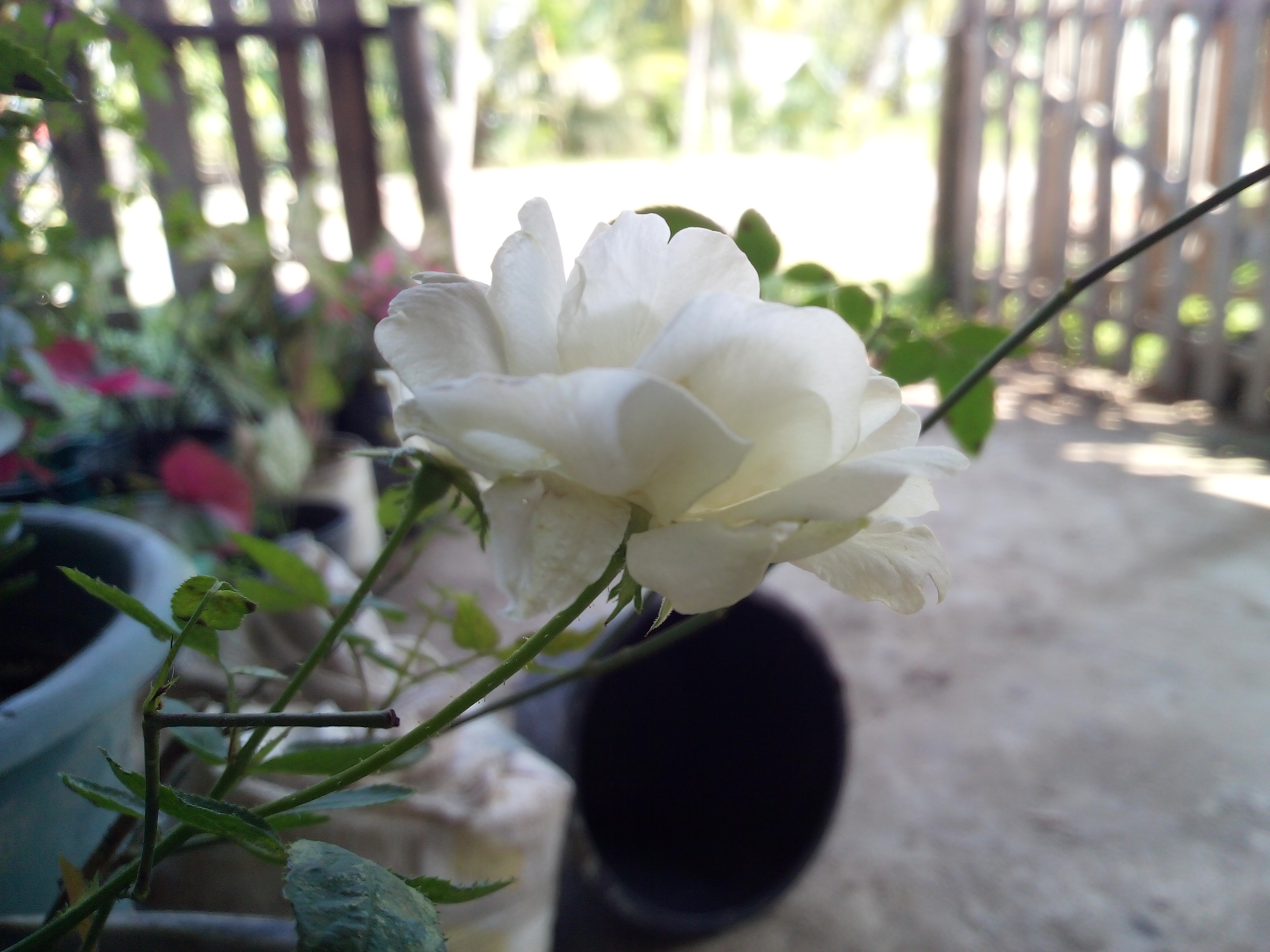 IMG_20211227_143937.jpg