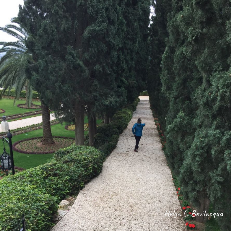 Helga L. Bevilacqua (10).jpg
