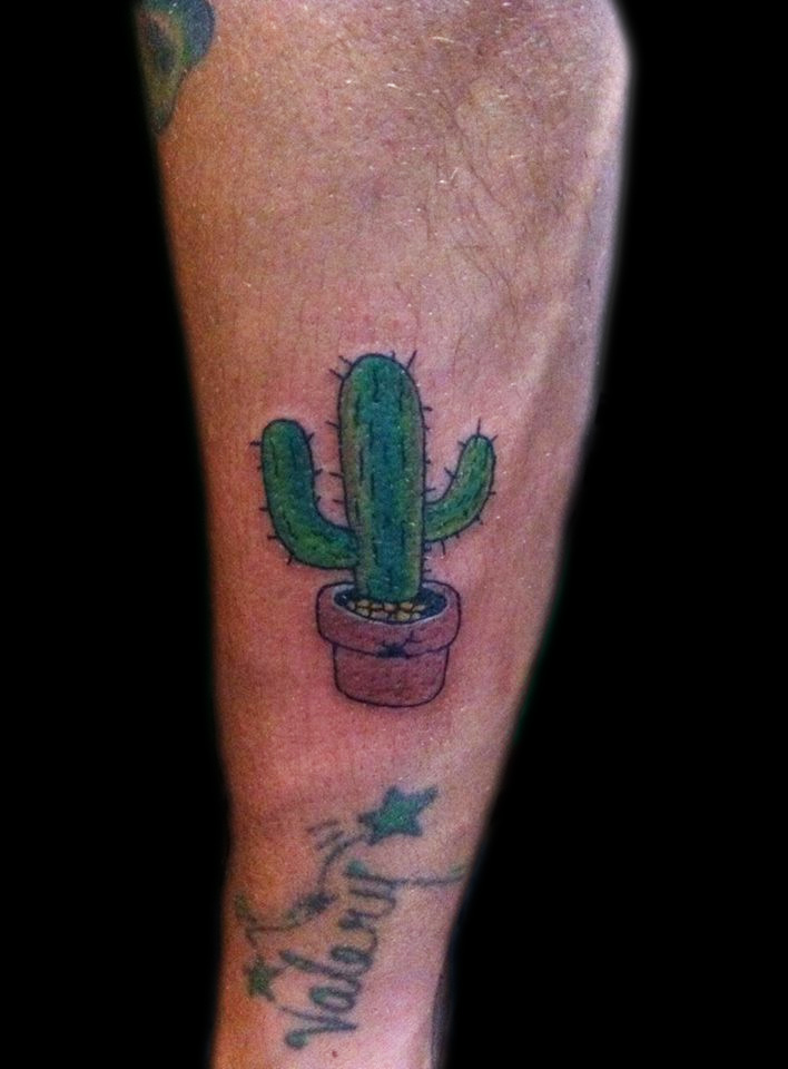 cactus.jpg