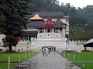 sacred-tooth-small (2).jpg