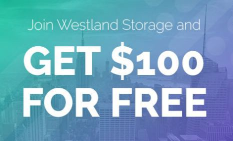 Westland Storage Full Review - is that this a decent chance For Earn cash ?
