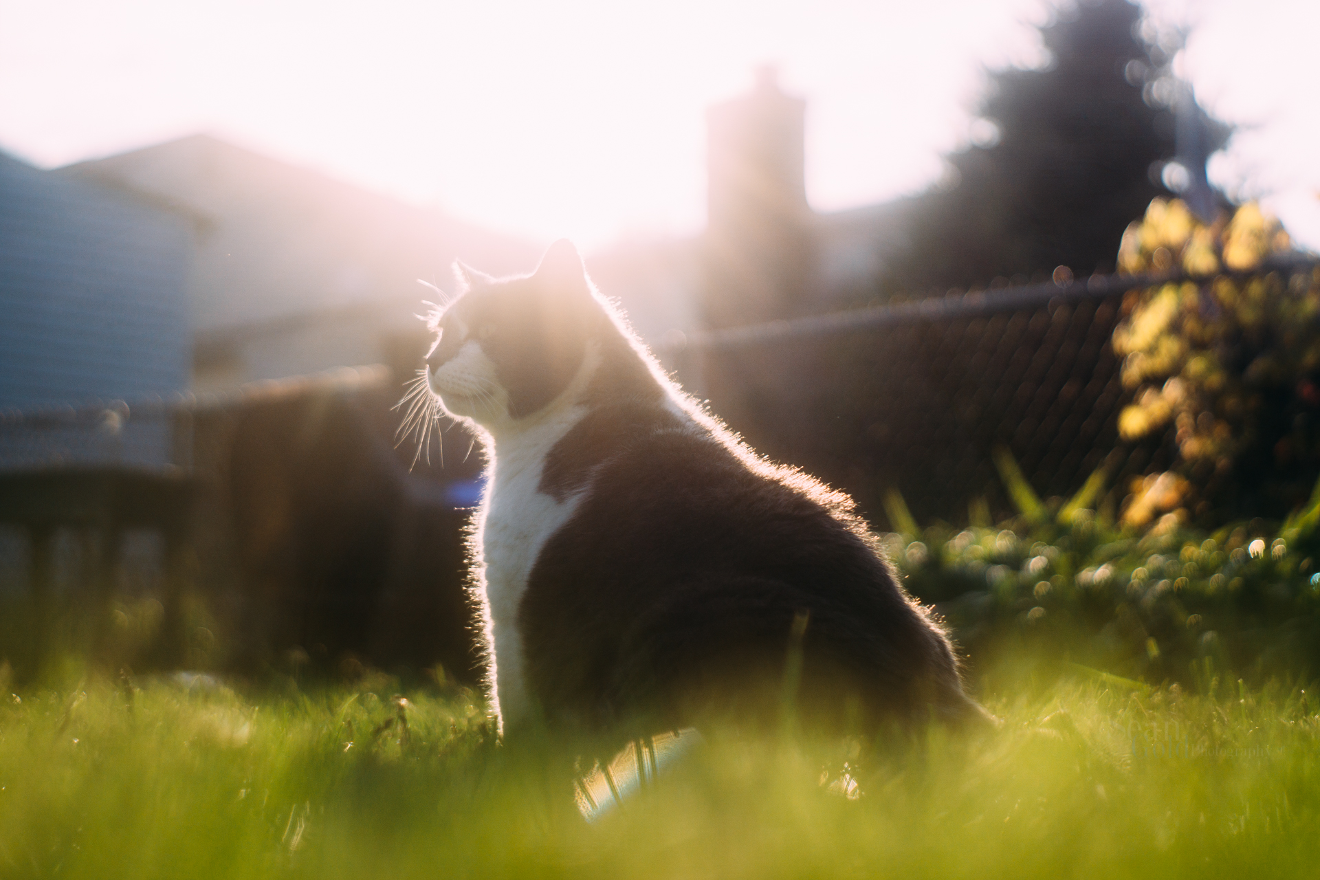 Sean_Gold_May 17, 2019_60644-WebExport.jpg