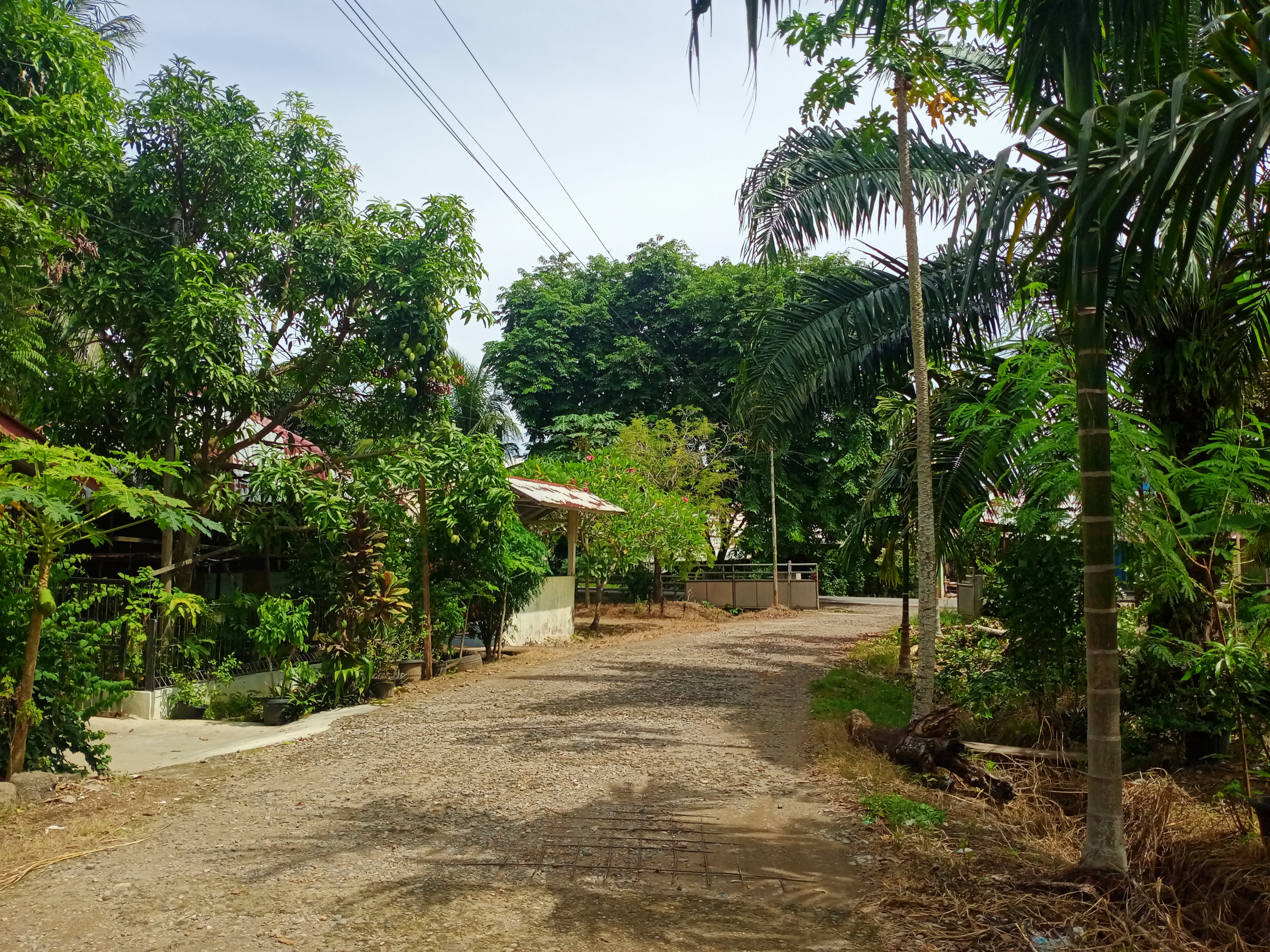 IMG20260520105653.jpg