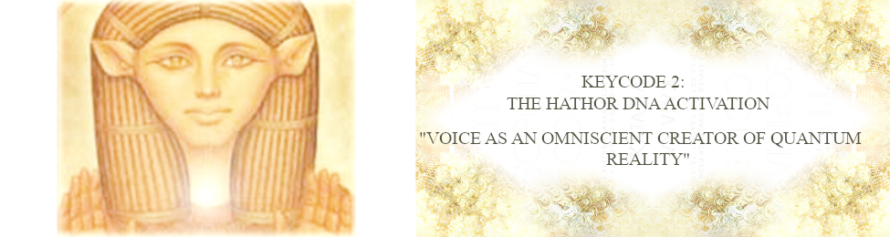 Home Banner3.png