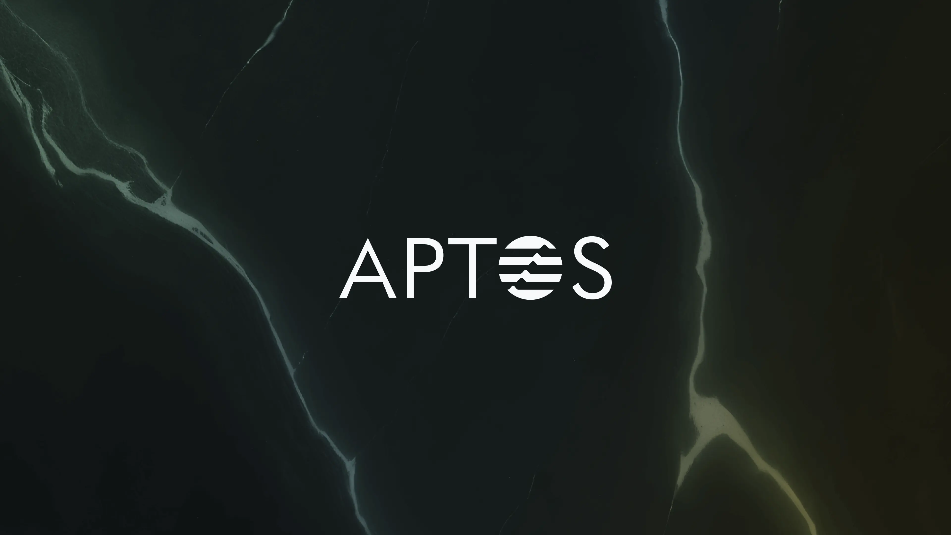 1732729489-bitwise-aptos-1920x1080-paper.webp