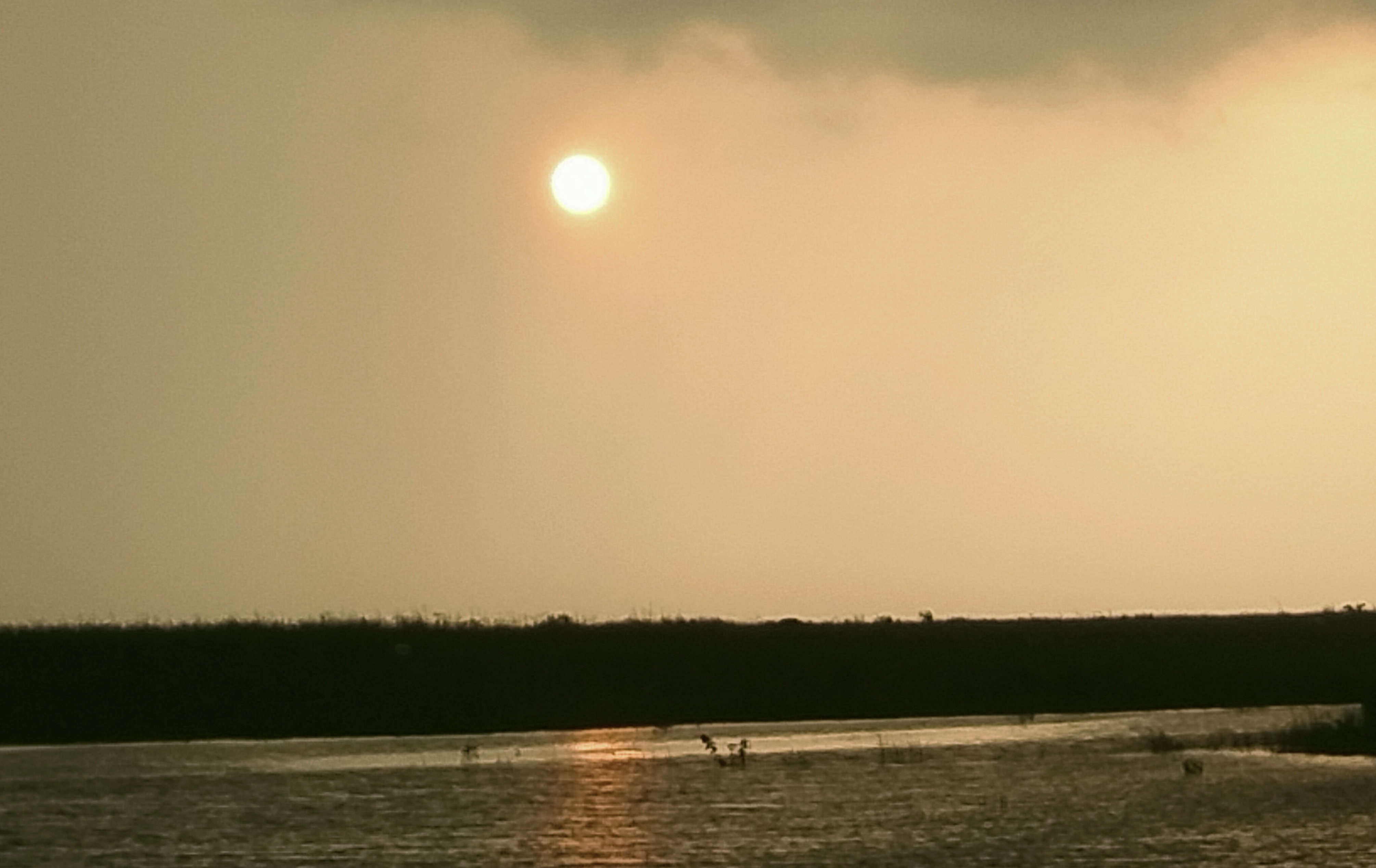 IMG_20260530_173915.jpg