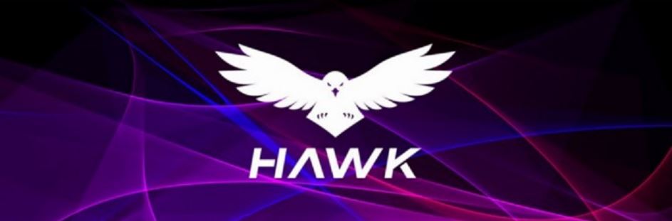 hawk banner.JPG