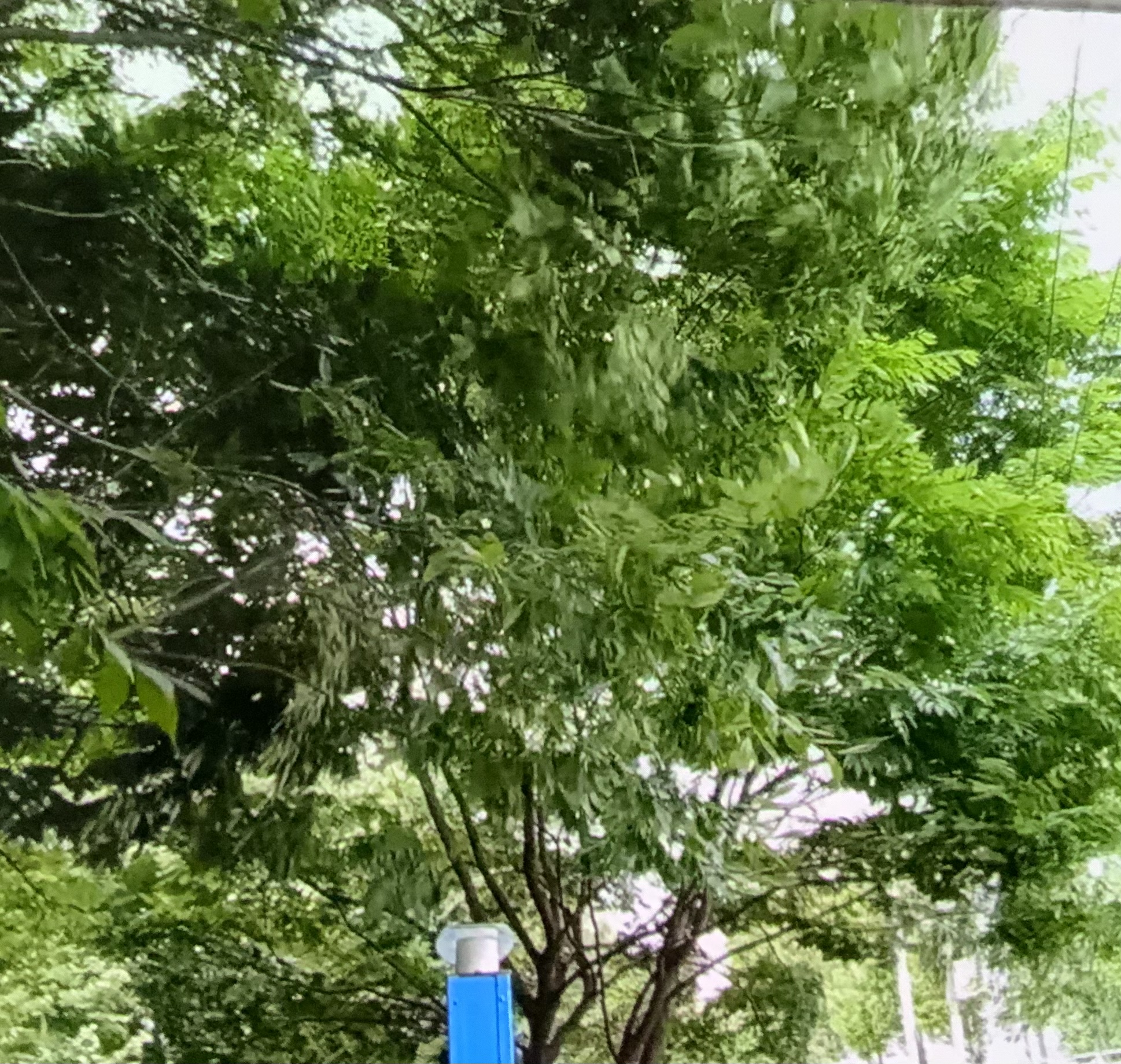 D6AD46E4-2103-490D-845F-EB546F2EC152.jpeg