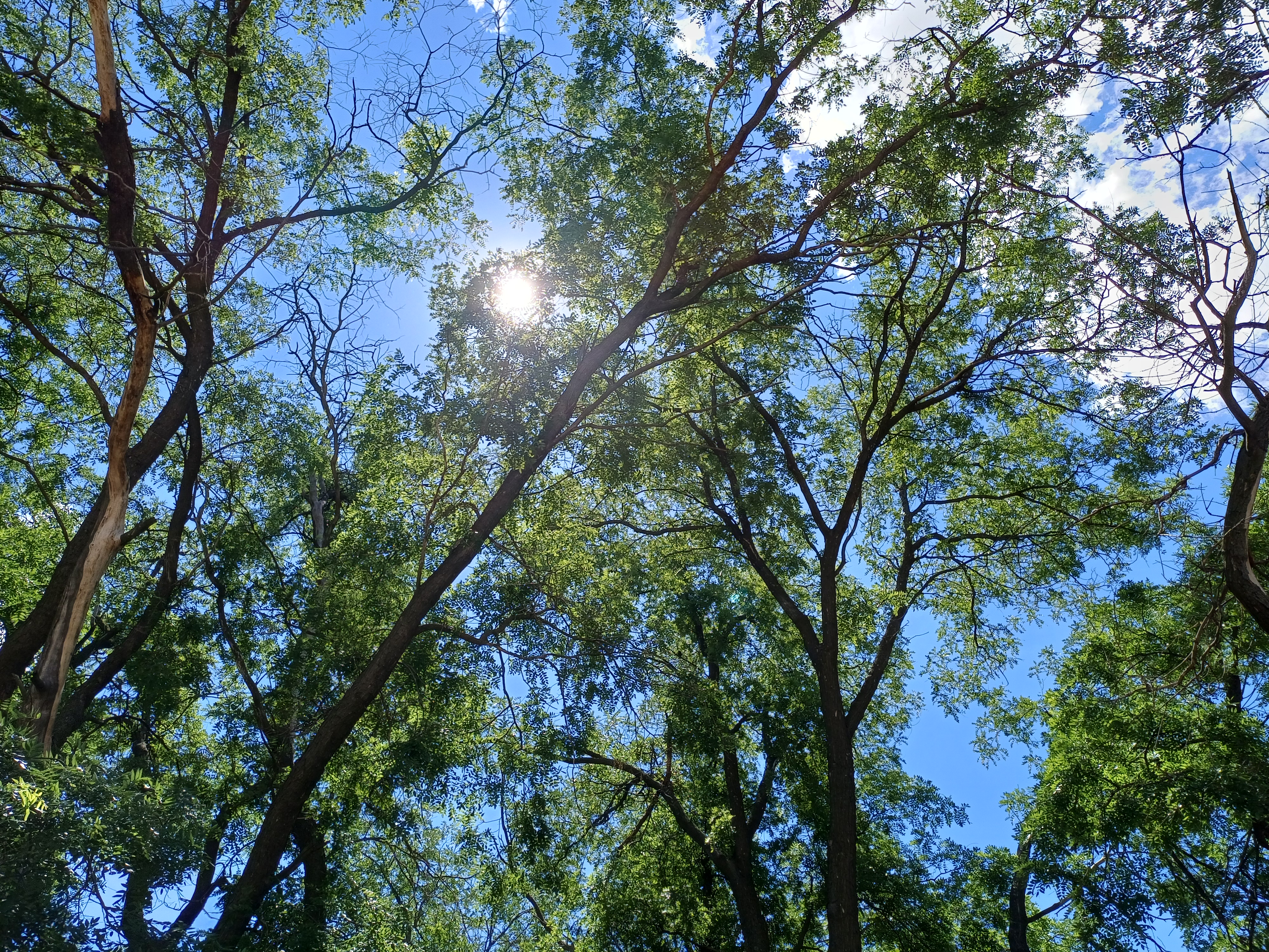 20260614_112733.jpg