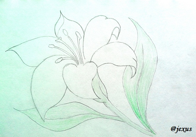 05-Flor.jpg
