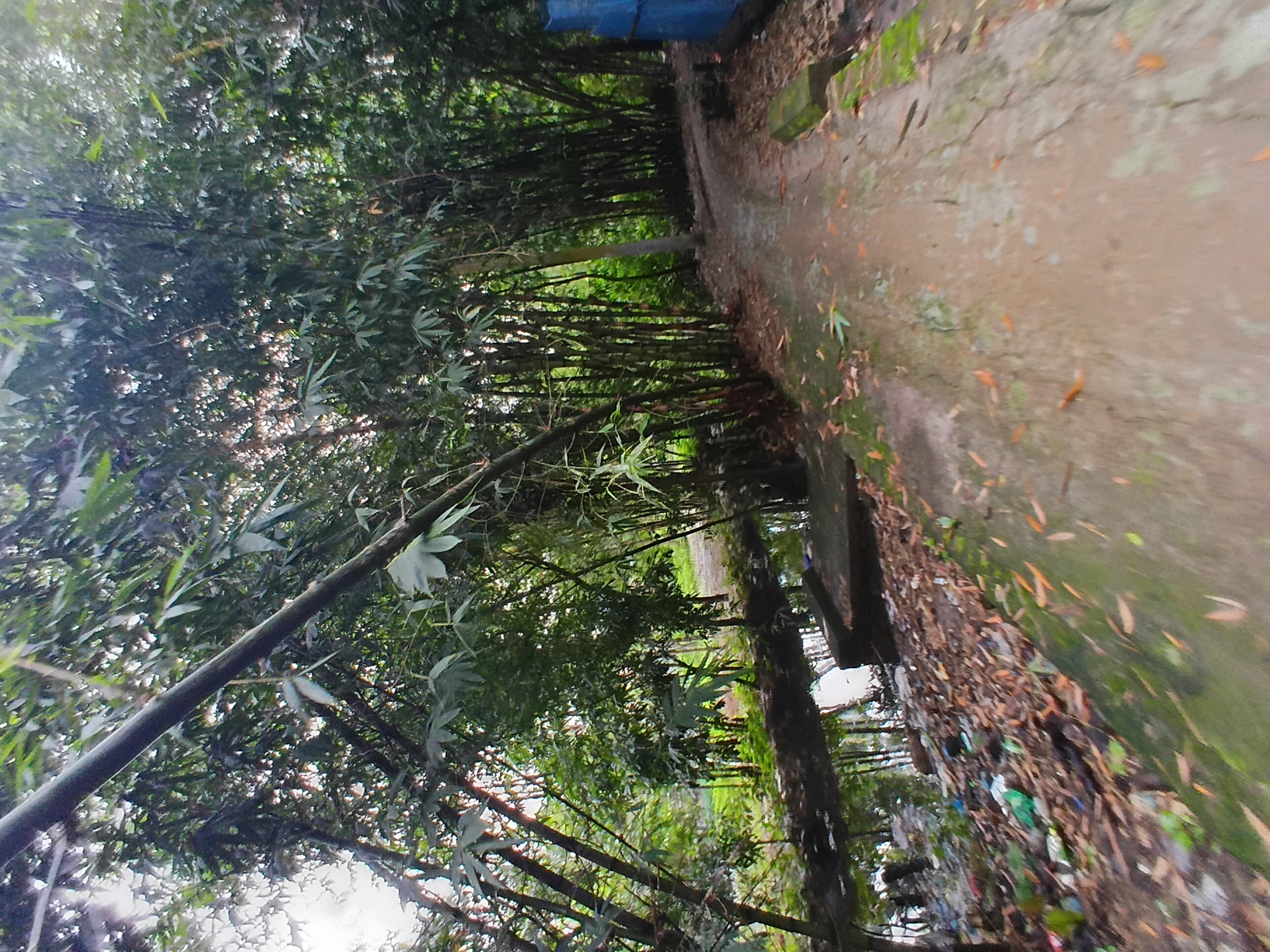 45942.jpg