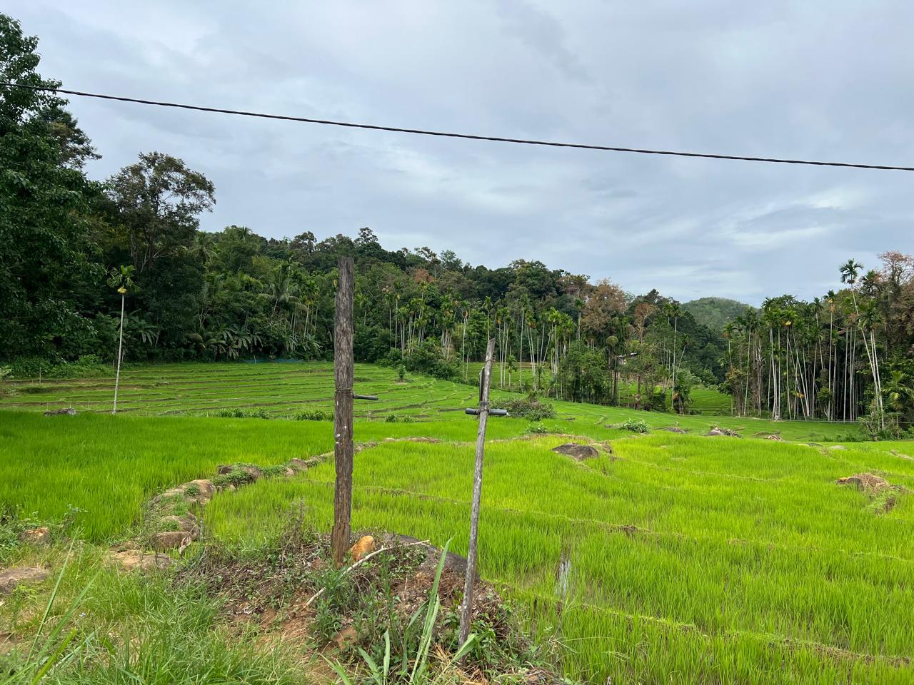 Seelathanna Sri Lanka .jpeg