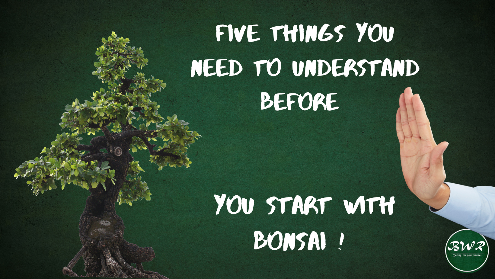 Five things (Facebook Cover).png