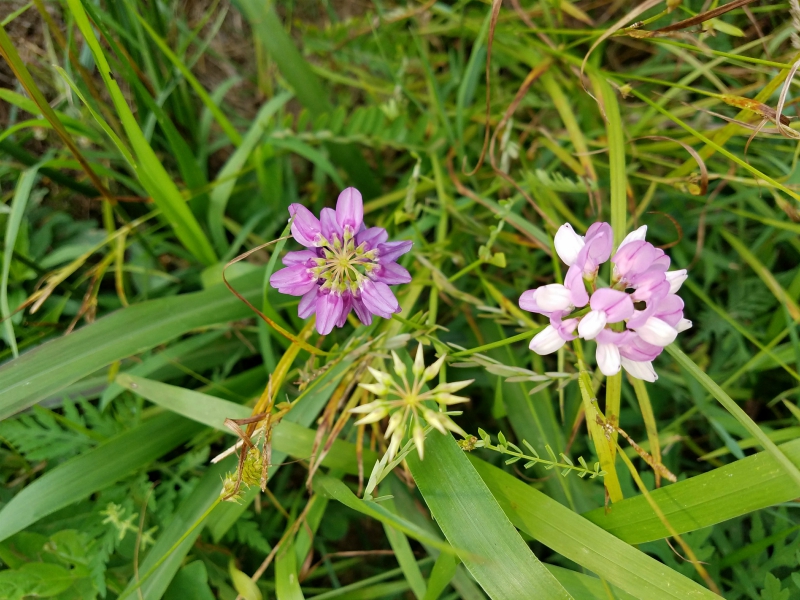 20180613_160405.jpg