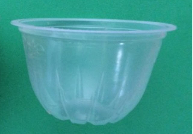 empty fruit cup.jpg