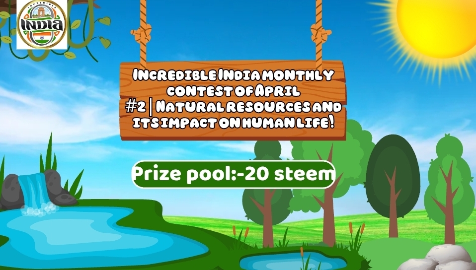 1000055343.jpg