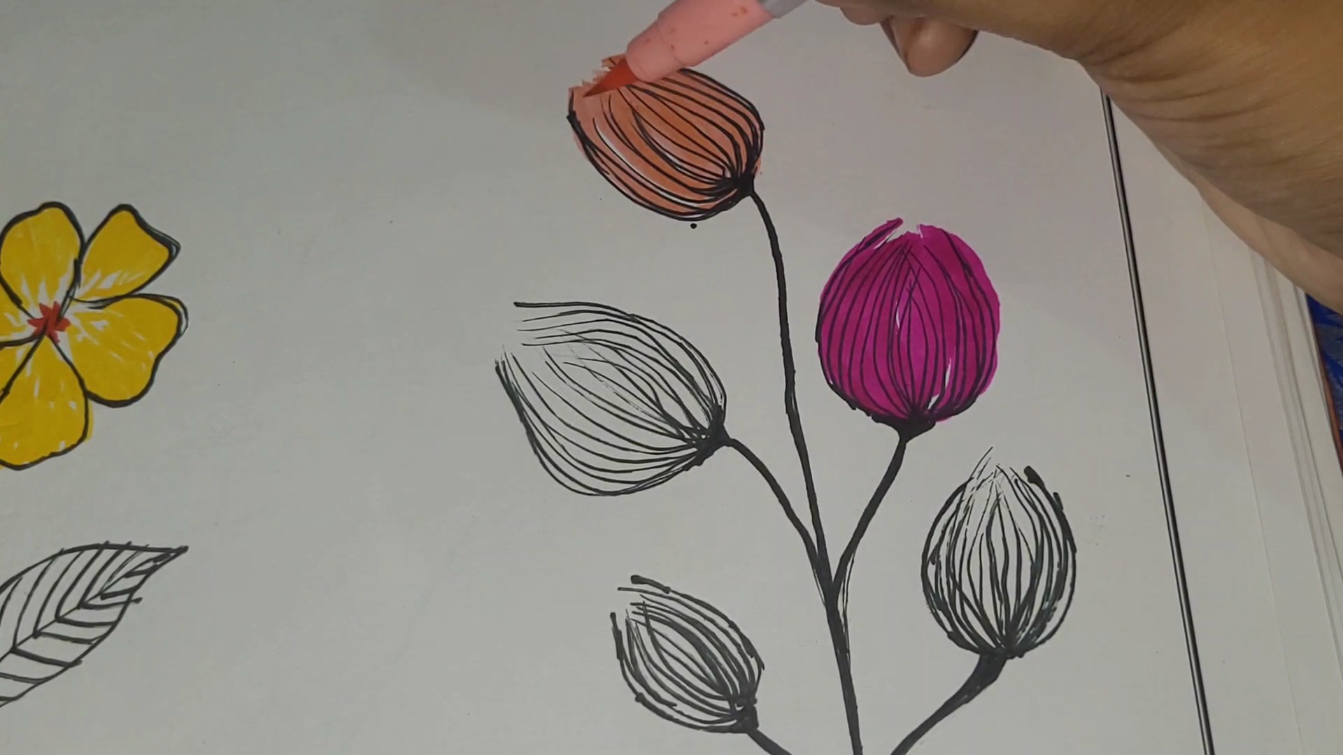 VideoCapture_20260917-195844.jpg