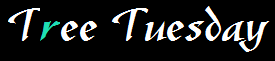shasta2019april9th47treetuesday804io.png