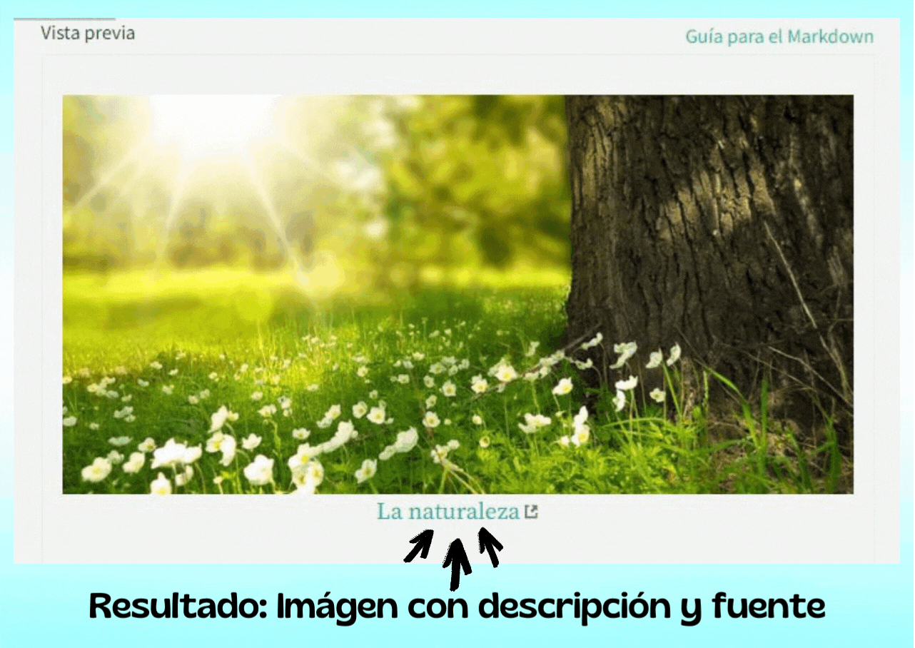 Gradiente pincelada moderna 1M seguidores Instagram Publicar (11).gif