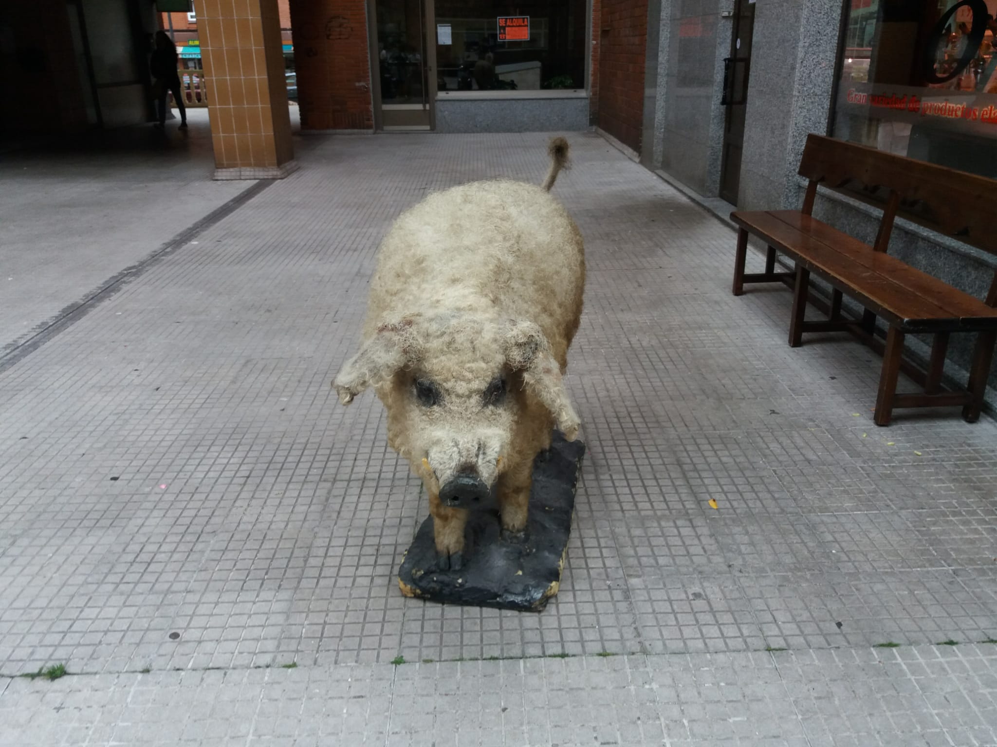 WhatsApp Image 2020-07-01 at 23.20.47 (2).jpeg