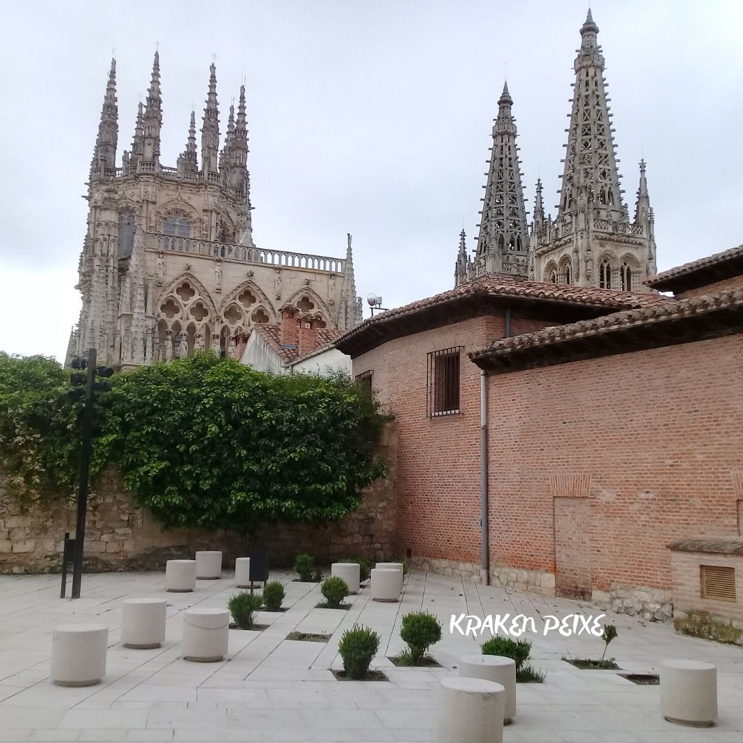 burgos (3).jpg