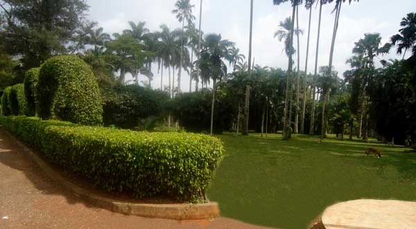 2130706433_Uu3ZpXR0_aburi_1.jpg