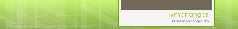 bannermanangos.png